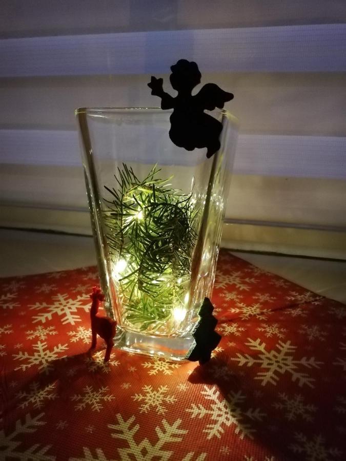 Pension Winter Mucheln 外观 照片